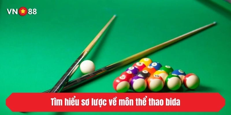 Tìm hiểu sơ lược về môn thể thao bida