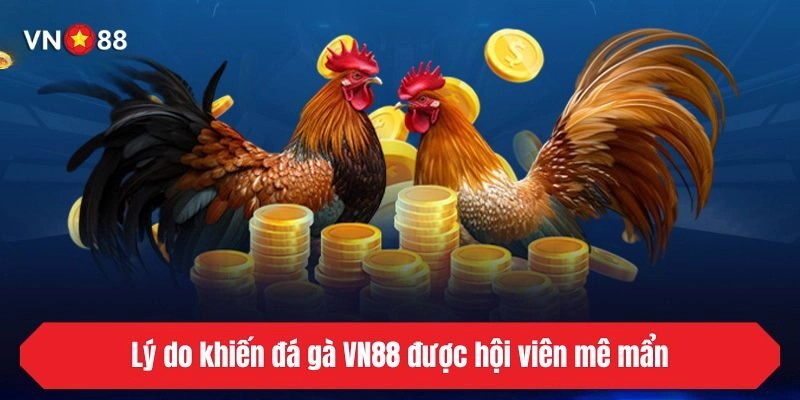 Lý do khiến đá gà VN88 được hội viên mê mẩn